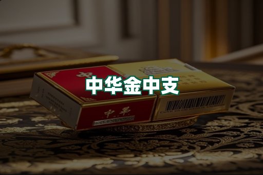 中华金中支